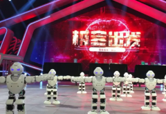 双足机器人 跳舞机器人 四足机器人 机器臂租赁