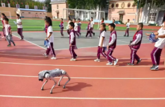 各类活动可出租宇树系列机器人