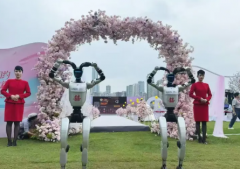 专业机器人表演，机器人商演，机器人出租