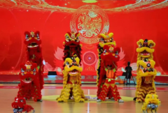 专业机器人表演，机器人商演，机器人出租