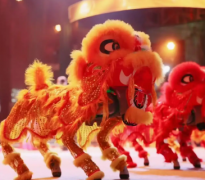 机器人商演，机器人出租，机器人舞蹈