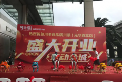 春晚同款机器人出租，宇树机器人，宇树机器狗